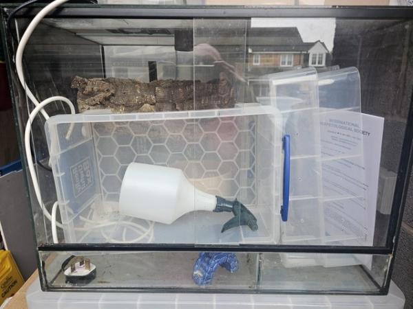 Image 1 of Glass water sealed Terrarium, Aquatic, Amphibians, Reptile