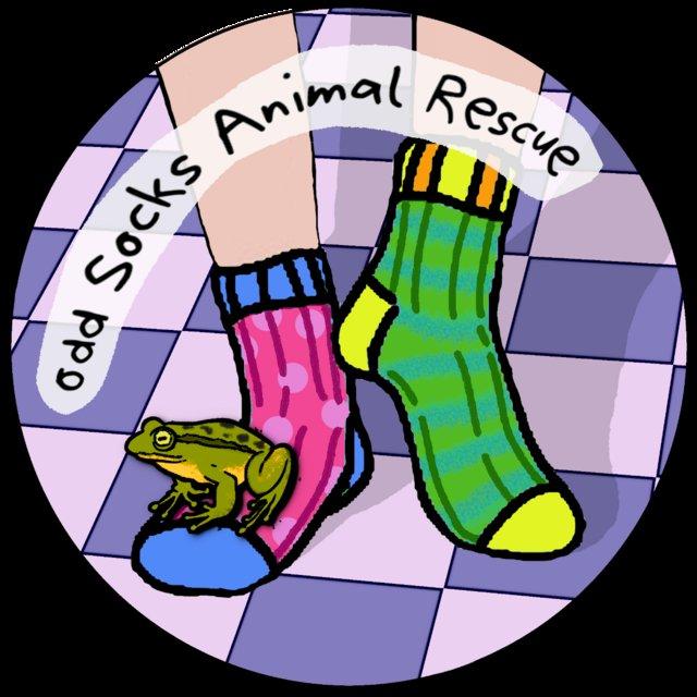 Preview of the first image of Odd Socks Animal Rescue - Exotic, Aquatic and Avian.
