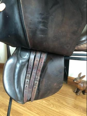 Image 3 of Jeffries Falcon saddle medium 17.5