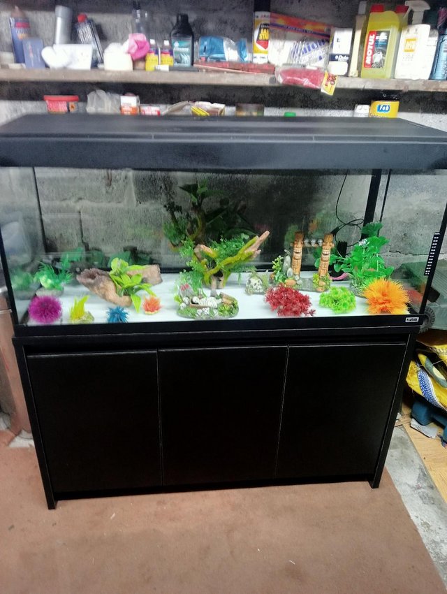 Preview of the first image of Fluval Roma 240L aquarium with storage cupboard/stand.