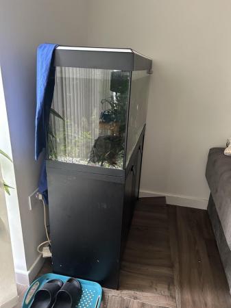 Image 9 of 200l fish tank and stand with everything u need all breeding