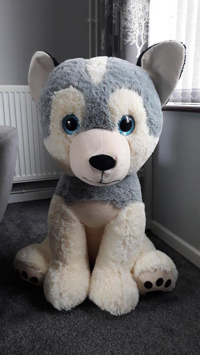 Preview of the first image of 36 inch large plush husky soft toy.
