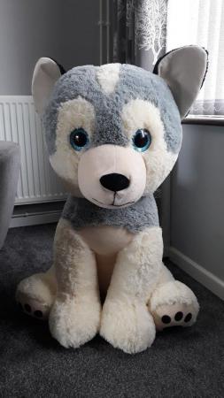 Image 1 of 36 inch large plush husky soft toy