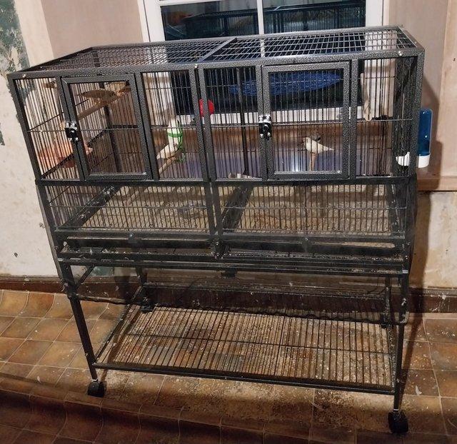 Preview of the first image of SOLD Zebra Finches + 2 Cages & all accessories (will split).
