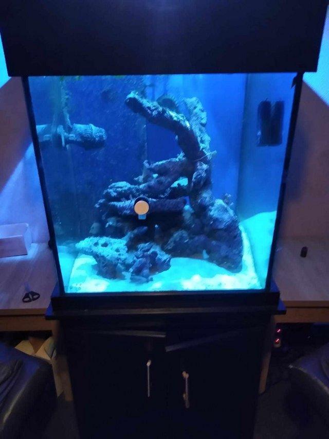 Preview of the first image of Complete Marine Tank Set Up, Everything You See In Pictures.