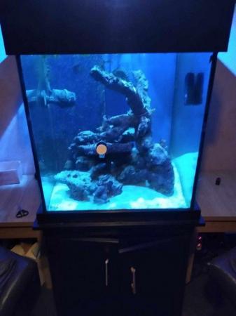 Image 1 of Complete Marine Tank Set Up, Everything You See In Pictures