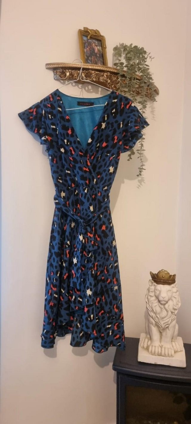 Preview of the first image of Tenki Spring-Time Teal Leopard Dress - Barely Used.