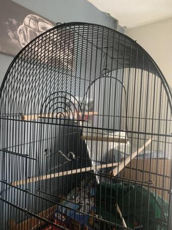 Image 1 of Large metal bird cage used but in good condition