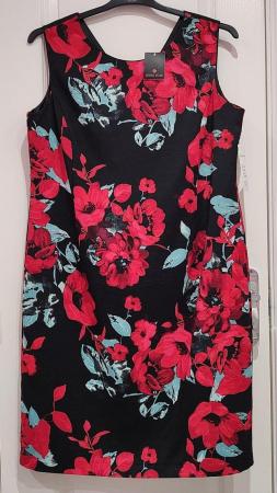 Image 1 of BNWT Anna Rose Dress Size 16 Red/Black