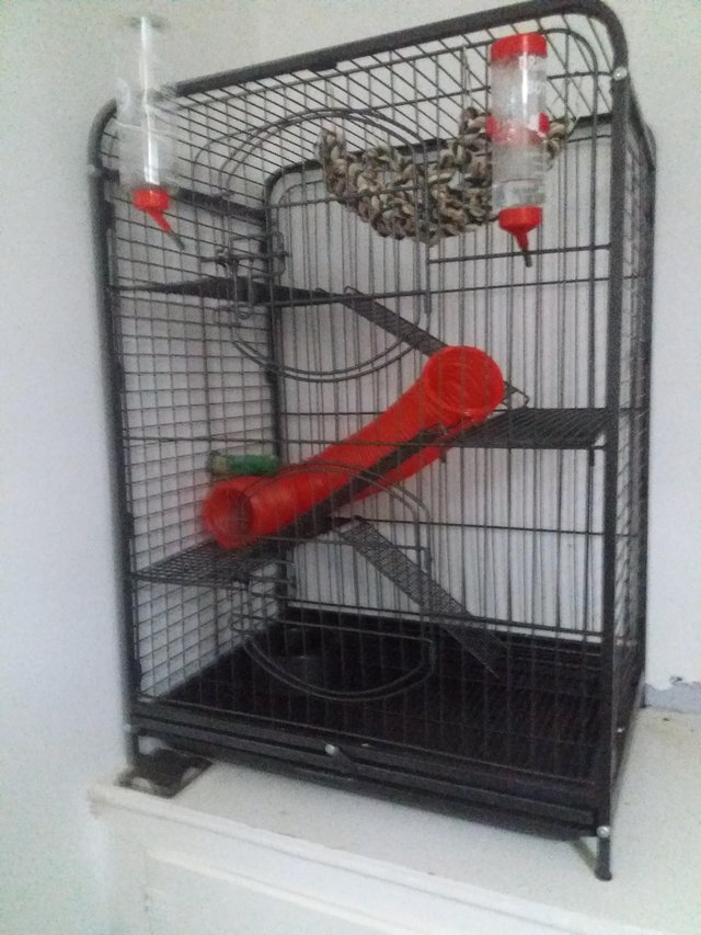 Preview of the first image of Rodent/bird cage for sale comes with accessories.