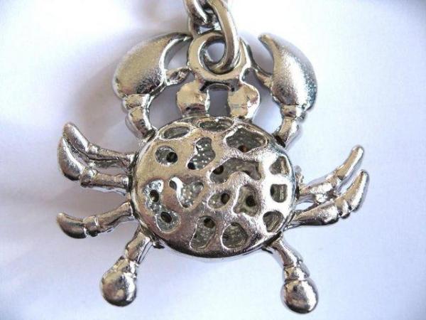 Image 3 of Crab Charm Pendant Crystal Rhinestone , or at least I hope t