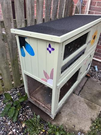 Image 4 of Hand painted, double level, rabbit hutch