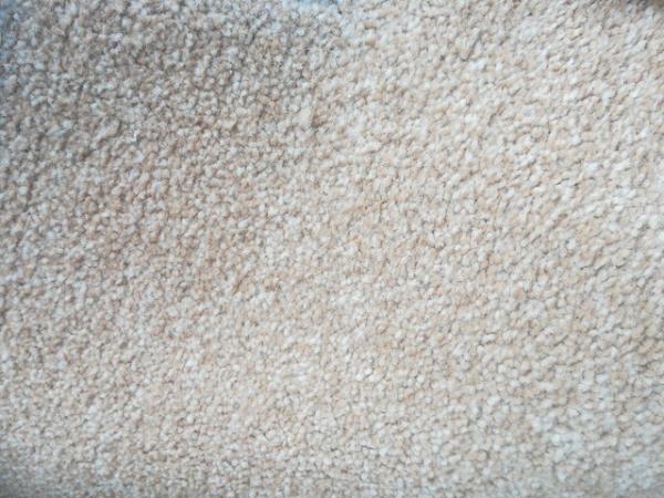 Image 1 of Large cream carpet good quality