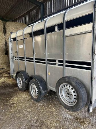 Image 2 of 2013 ifor Williams cattle trailer