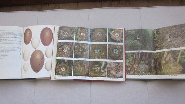 Image 2 of BRITISH BIRDS BOOK COLLECTION