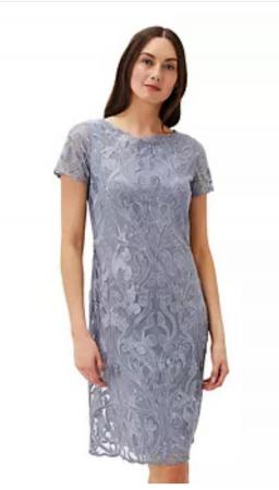 Image 1 of Phase Eight 'Bea' Embroidered Dress