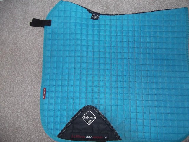 Preview of the first image of Le Mieux Pro Sport Large Dressage pad - Teal.