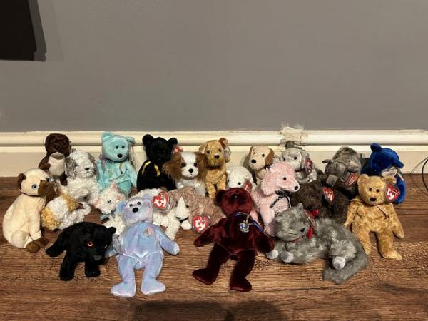 Image 2 of Beanie babies bundle for sale