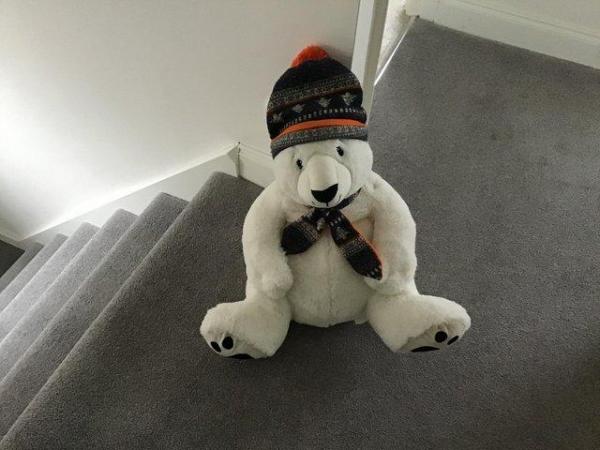 Image 1 of Cuddly Pola Bear already for the winter snow