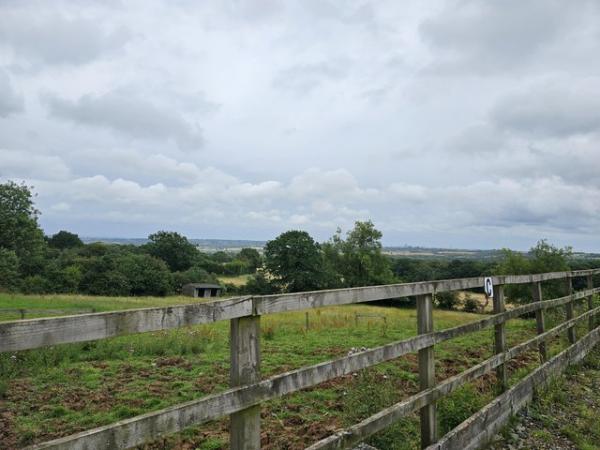 Image 1 of Small yard/grazing for 4 horses. West Midlands