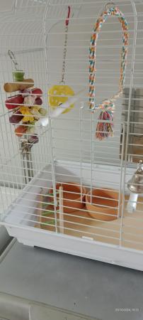 Image 4 of Bird cage, suitable for cockatiel