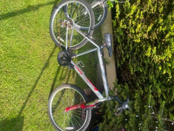 Image 2 of Girls and Boys Bikes , good condition,buyer collects.