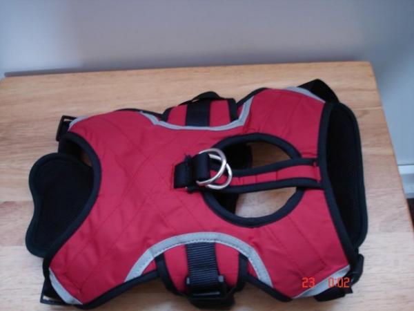 Image 1 of red/black dog harness very strong