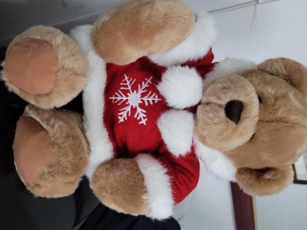 Image 2 of Teddy Bear&Winter Outfit