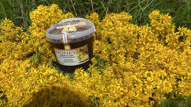 Image 11 of Local Natural Honey 1.5kg for sale
