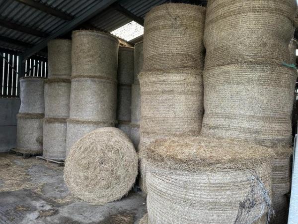 Image 3 of Round Bale Excellent Hay For Sale