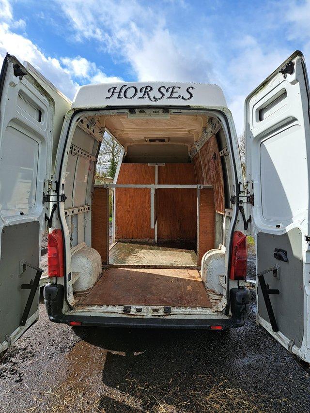 Preview of the first image of 3.5 tonne vauxhall movano horsebox 2002.