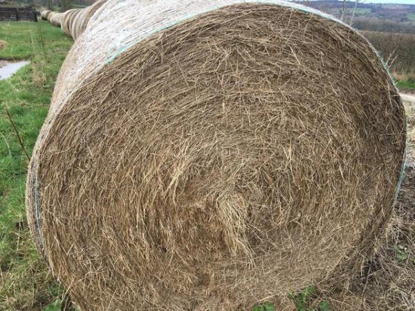 Image 1 of REDUCED! Meadow hay, ideal for Native ponies or laminitics