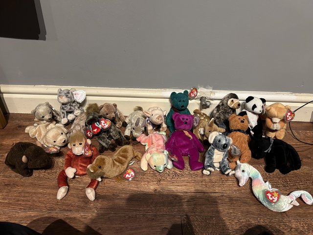 Preview of the first image of Beanie babies bundle for sale.