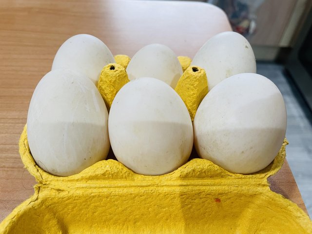 Preview of the first image of Cherry valley duck eggs (Fertile).