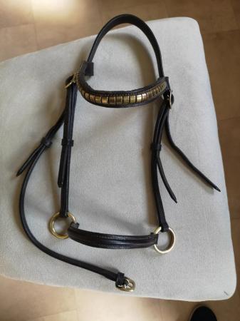 Image 1 of In hand show halter, small hack or pony size