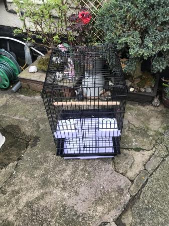 Image 1 of Bird Cage Like New with Perch