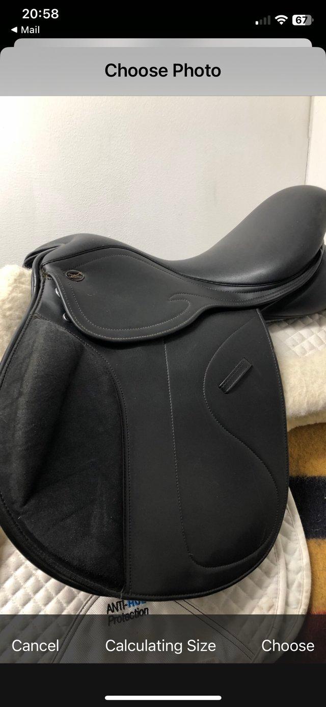 Preview of the first image of Shires Optimus black 17” saddle.