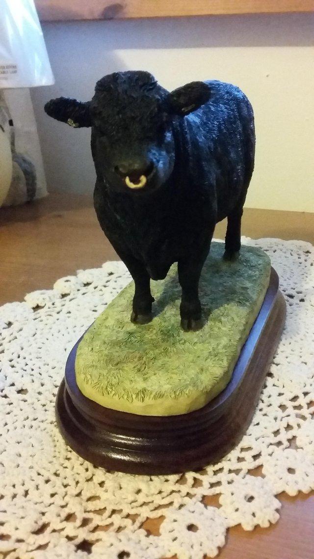 Preview of the first image of Border fine art limited edition Welsh Black Bull cattle.