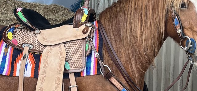 Image 1 of Western saddle and tack