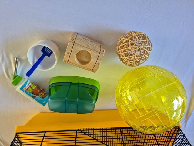 Hamster/Mouse Cage and Accessories — photo 3 of 4