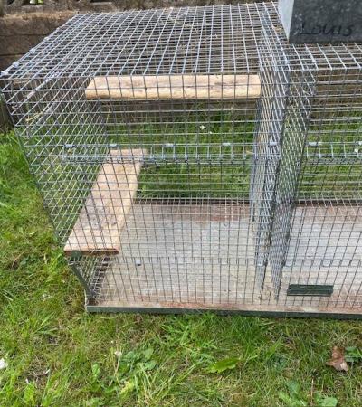 Image 4 of Chinchilla cage and accessories