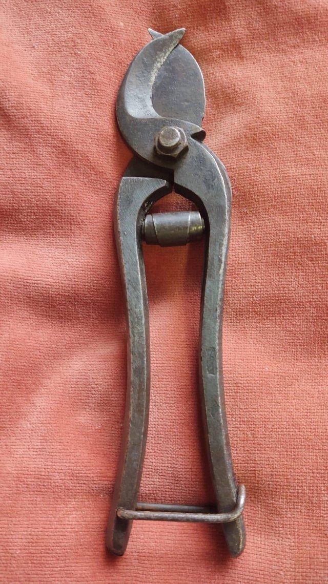 Preview of the first image of Antique/Vintage Pair Of Parrots Beak Secateurs.