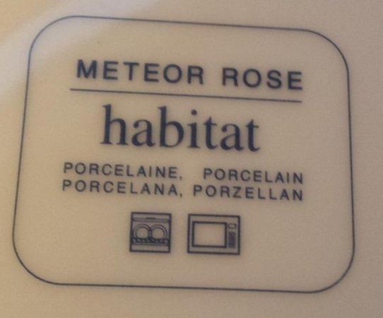 Image 4 of Habitat Porcelain Platter - motif Meteor Rose
