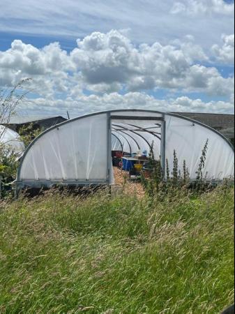 Image 3 of Mobile Polytunnels for sale