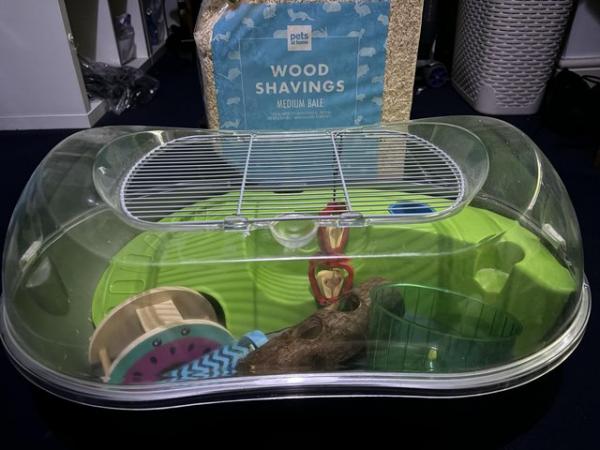Image 2 of Cute Hamster Cage and Toys