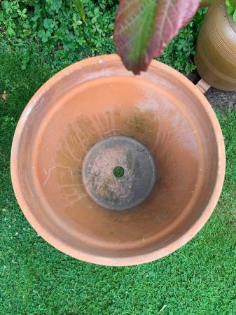 Image 2 of Lovely heavy terracotta plant pot