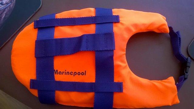 Preview of the first image of DOG Life Jacket Vest by Marine Pool.