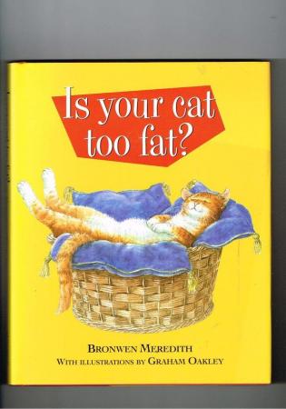 Image 1 of IS YOUR CAT TOO FAT?  BRONWEN MEREDITH