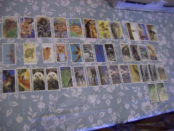 Image 1 of Cigarette Cards 28 & 11 large cigarette Cigar cards. 39 in a