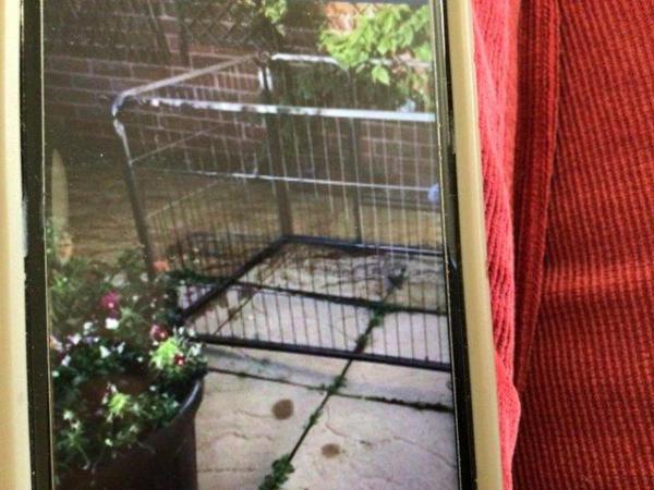 Image 3 of Metal cage for dogs/ puppies.